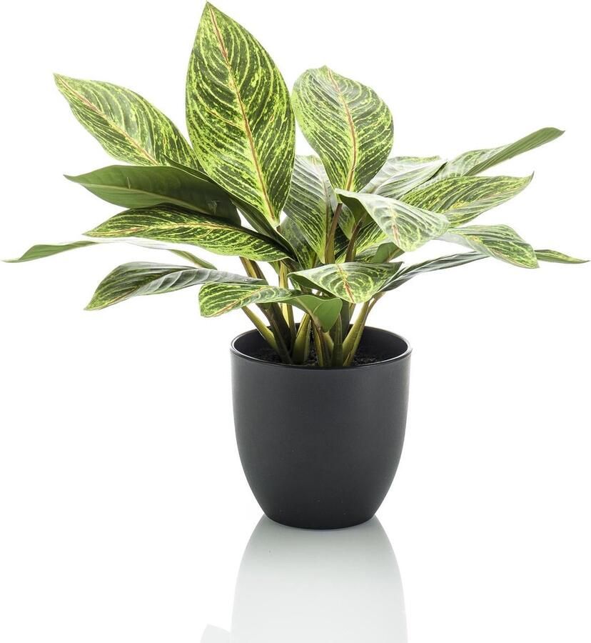 Kunstplant Croton Codiaeum Wonderstruik 38 cm