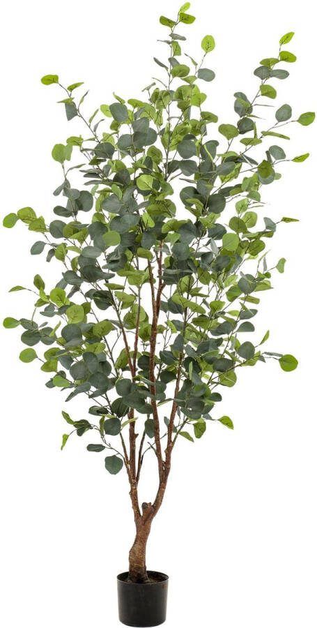 Kunstplant Eucalyptus Blauwe Gomboom 140