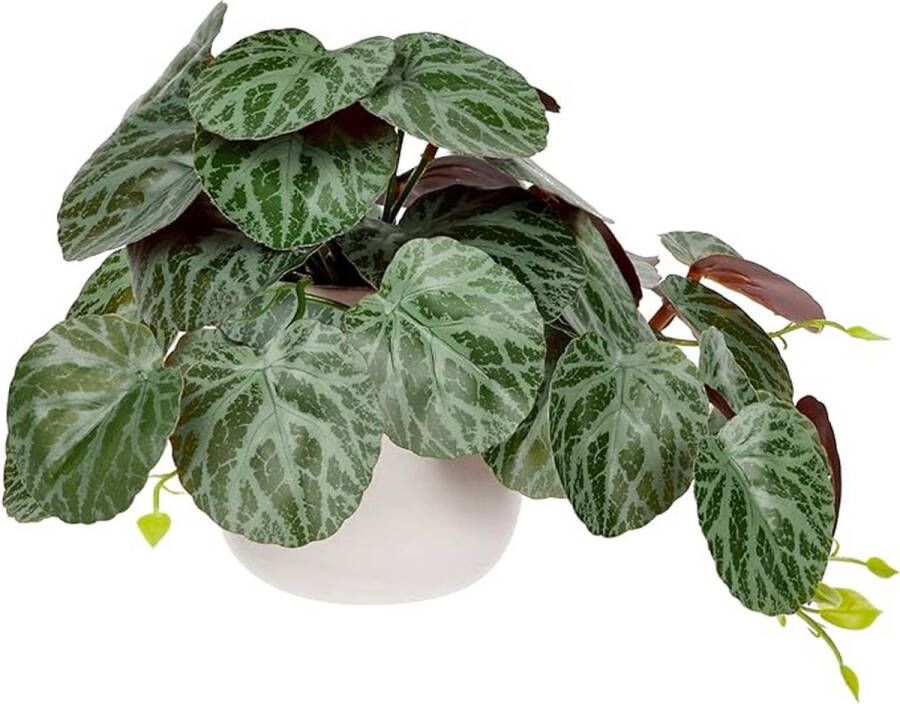 Kunstplant hangende decoratieve planten in keramische pot mini kunstplant Saxifraga stolonifera decoratie modern voor thuis kantoor badkamer keuken en interieur decoratie