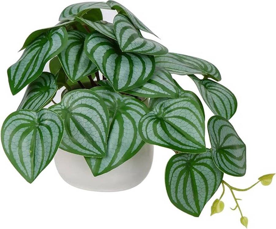 Kunstplant hangende decoratieve planten in keramische pot mini-kunstplant watermeloen-peperomie decoratie modern voor thuis kantoor badkamer keuken en interieurdecoratie