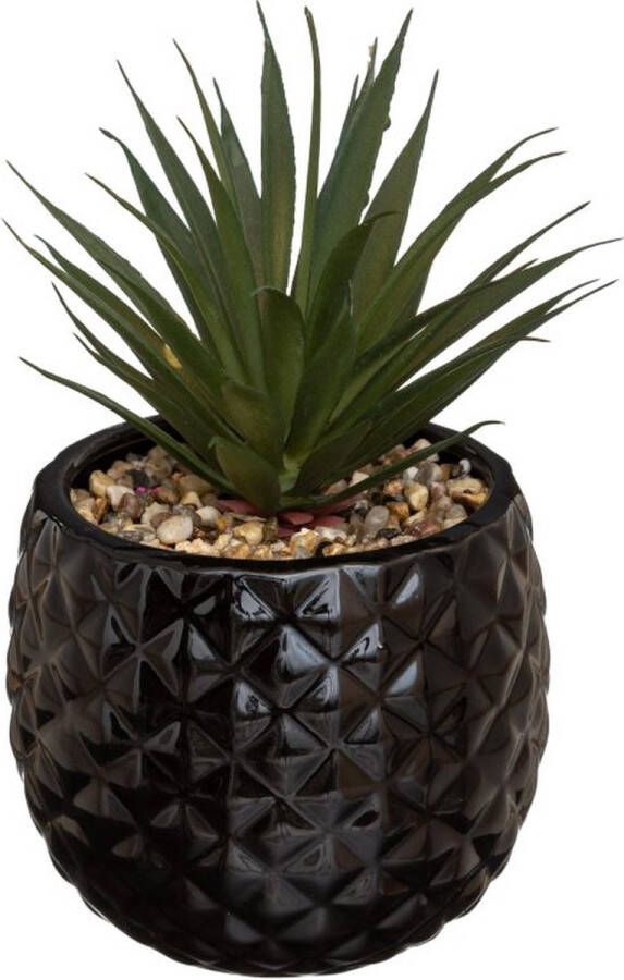 CASA DI ELTURO Kunstplant in Zwarte Ananas Pot H21 cm