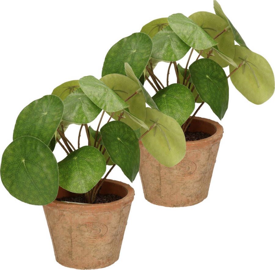 Merkloos Kunstplant pilea pannekoekplant 2x groen in pot 25 cm Kunstplanten