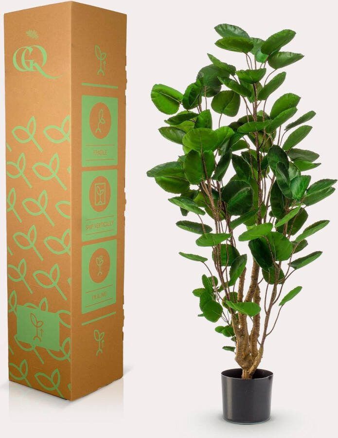Kunstplant Polyscias Aralia 105 cm