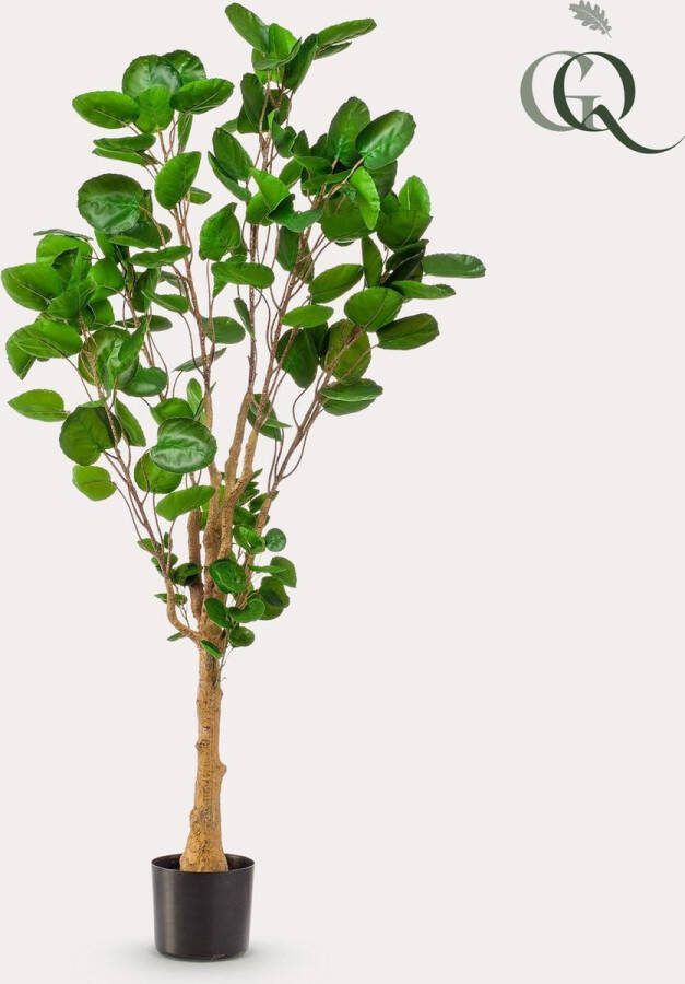 Kunstplant Polyscias Aralia 150 cm