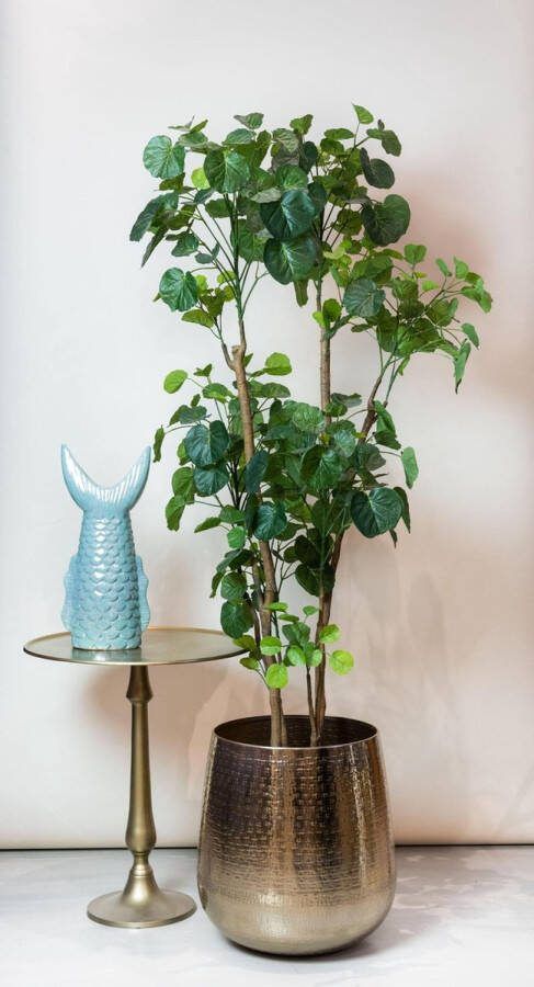 Kunstplant Polyscias Aralia 160 cm