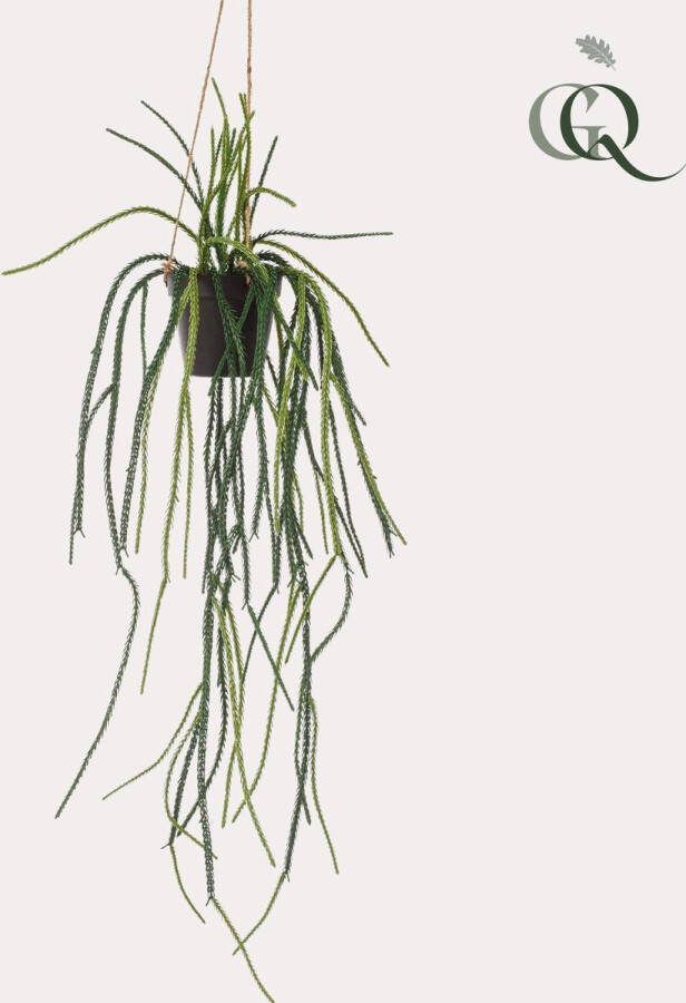Kunstplant Rhypsalis Koraalcactus 85 cm