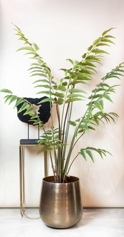 Kunstplant Rumohra Adiantiformis Ledervaren 180 cm
