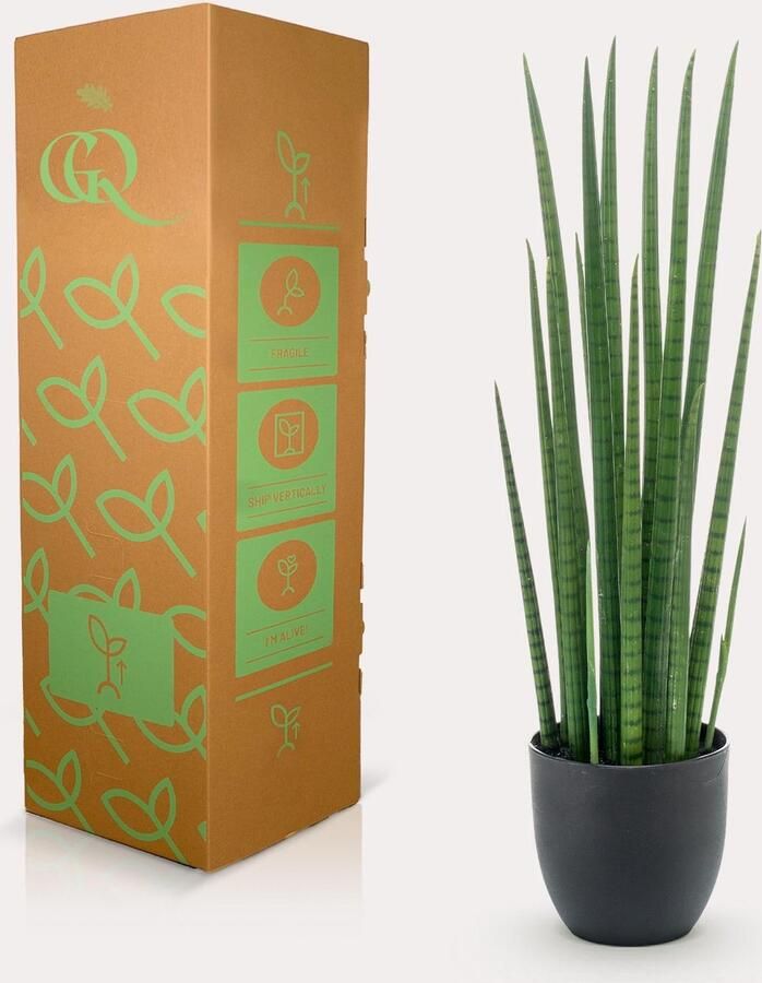 Kunstplant Sanseveria Cylindrica Vrouwentong 70 cm