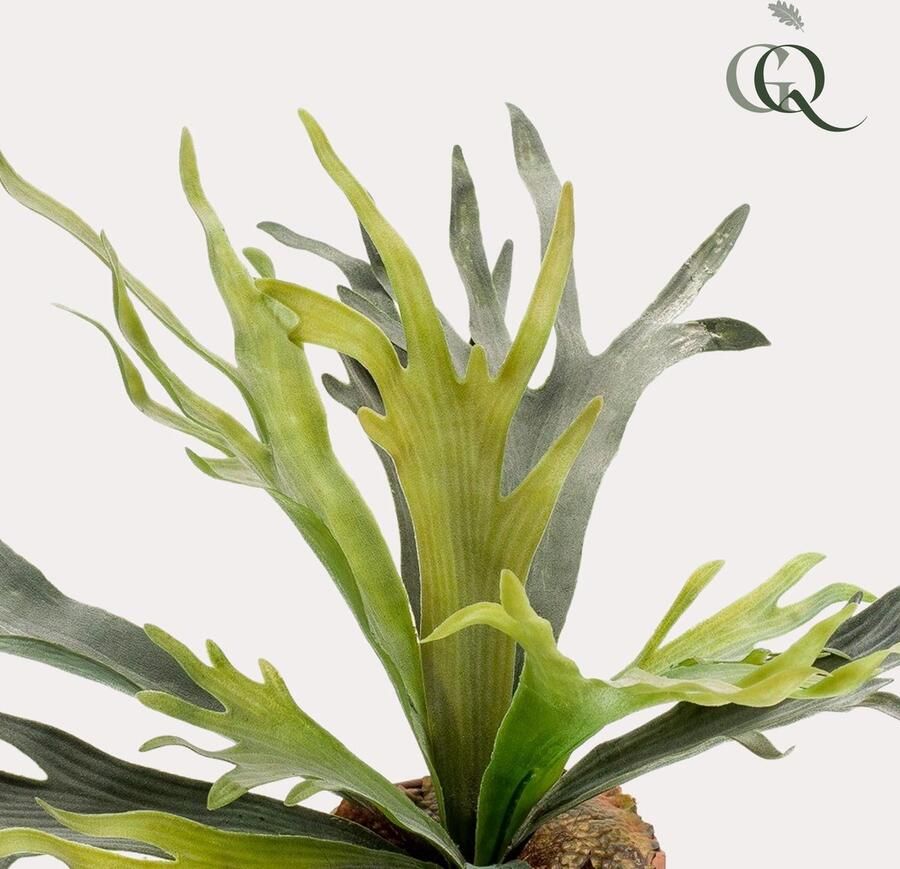 Kunstplant Staghorn Fern Hertshoorn 50 cm