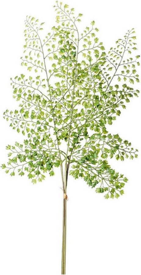Merkloos Groene kunstplant Adiantum kunst tak van 58 cm Kunstplanten