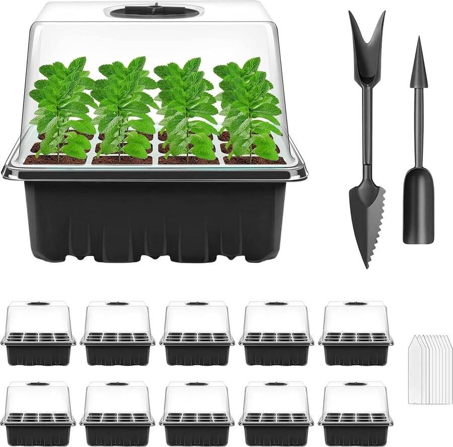Kweekkas Pakket van 10 Binnenkas-voortplantingsdoos Mini-kas Kleine Voortplantingsset Voortplantingsbak met Deksel en Ventilatie voor zaailingen
