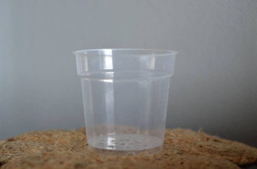 Kweekpot transparant 5 stuks 11cm