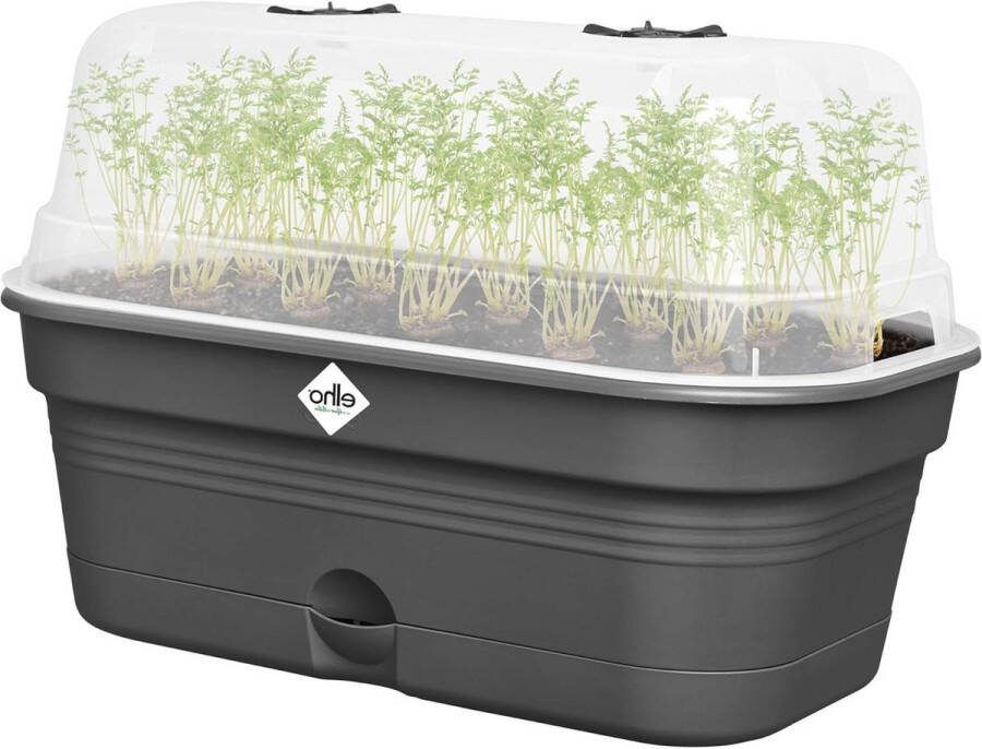 Kweektray Allin1 32 Kweekbak met Deksel 100% gerecycled plastic Ø 32.0 x H 13.2 cm Living Black Duurzaam Groeien Kweekbak