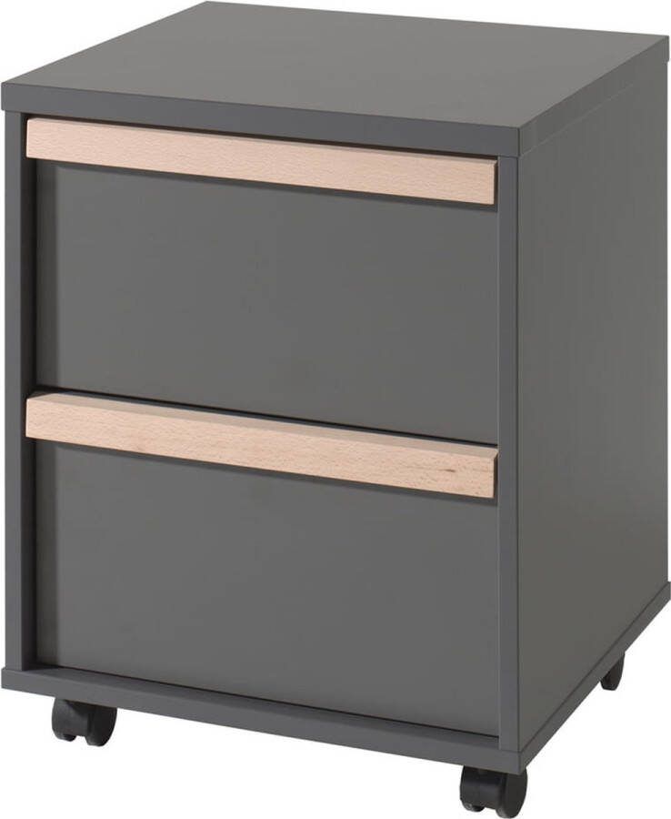 Ladeblok Dex Antraciet Met wielen Met lades Breedte 48.1 cm Diepte 40 cm Hoogte 59.7 cm