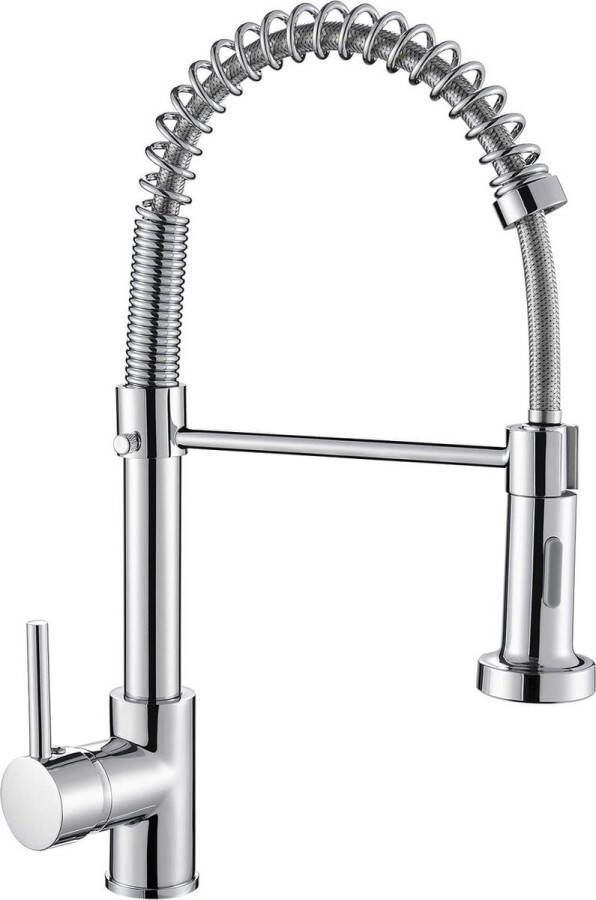 Lente Tap Keuken met Pull Down Sproeier Douche 2 Spray Modes Hoge Arc Enkele Hendel Lage Druk Mengkraan Chroom