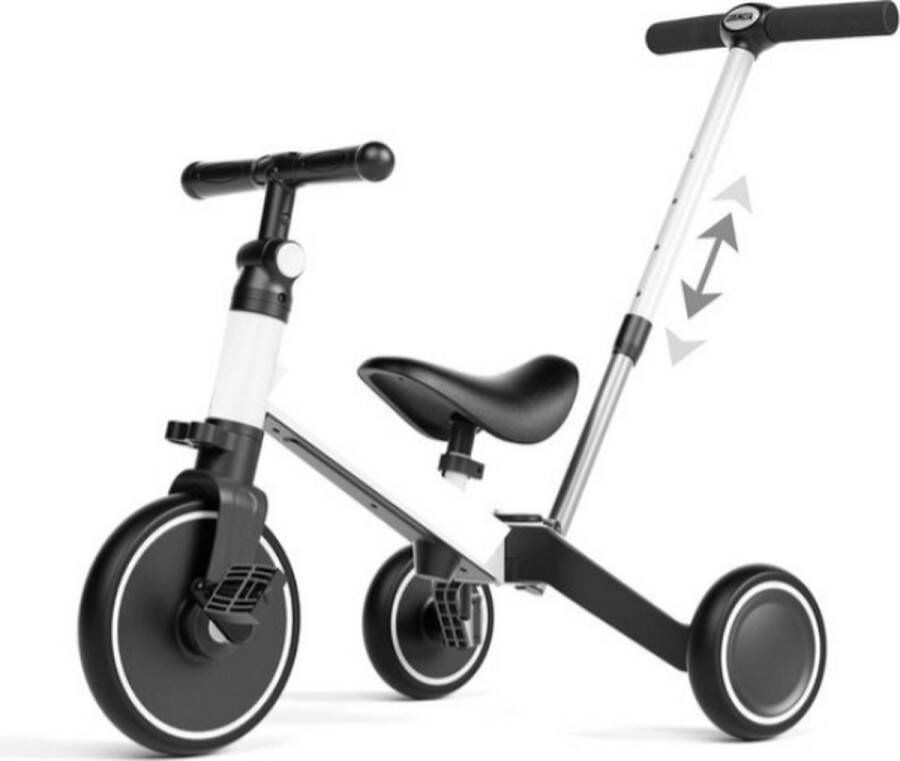 Loopfiets 1 Jaar Met Duwstok Driewieler Met Duwstang Loopwagen 1 Jaar