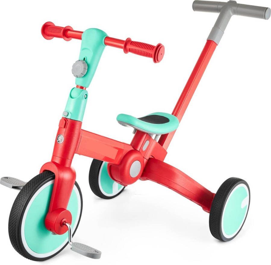 Loopfiets 1 Jaar Met Duwstok Driewieler Met Duwstang Loopwagen 1 Jaar