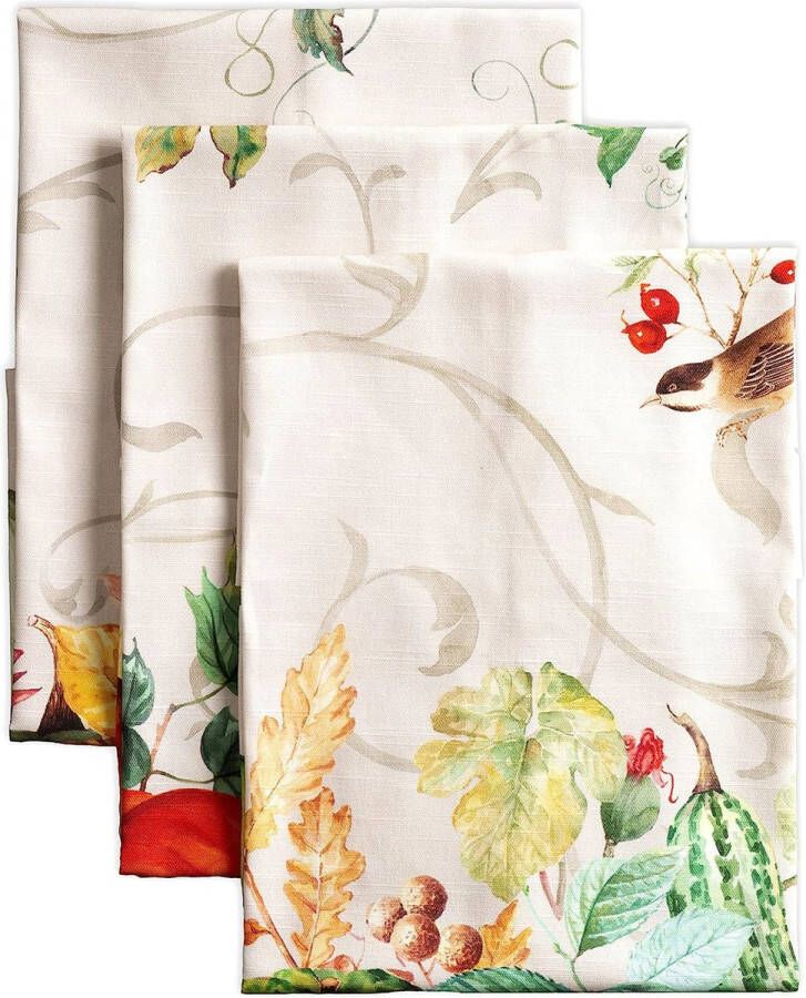 Lumina 100% katoen set van 3 multifunctionele keukenhanddoeken bar handdoeken Thanksgiving Kerstmis (50cm x 70cm)