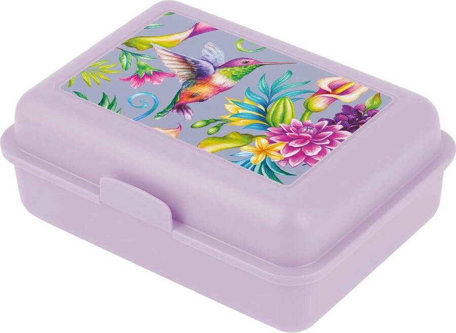 Lunchbox voor kinderen voor school Lunchbox voor meisjes jongens kinderkamer Lunchbox snackbox (Hummingbird)