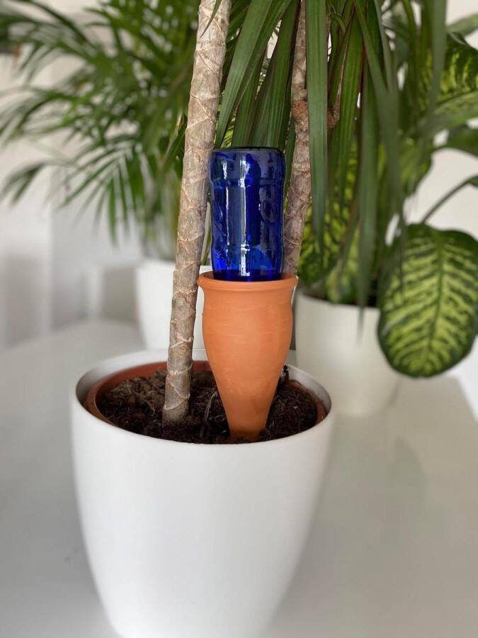 Lutton Cones van gietklei set van 4 irrigatieaccessoires 1 liter plastic of terracotta wijn flessen