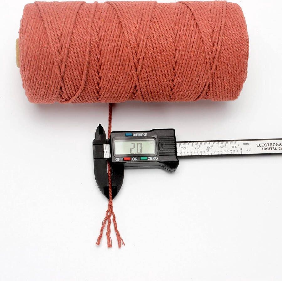 Macramé touw 2 mm x 201 meter gekleurd macramé touw katoenen touw macramé garen kleurrijk katoenen knutselkoord om op te hangen plantenhangers knutselen breien