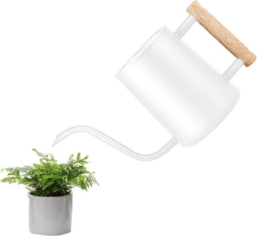 Metalen gieter voor kamerplanten 1 liter lange schenktuit comfortabel houten handvat tuinpotten voor binnenshuis