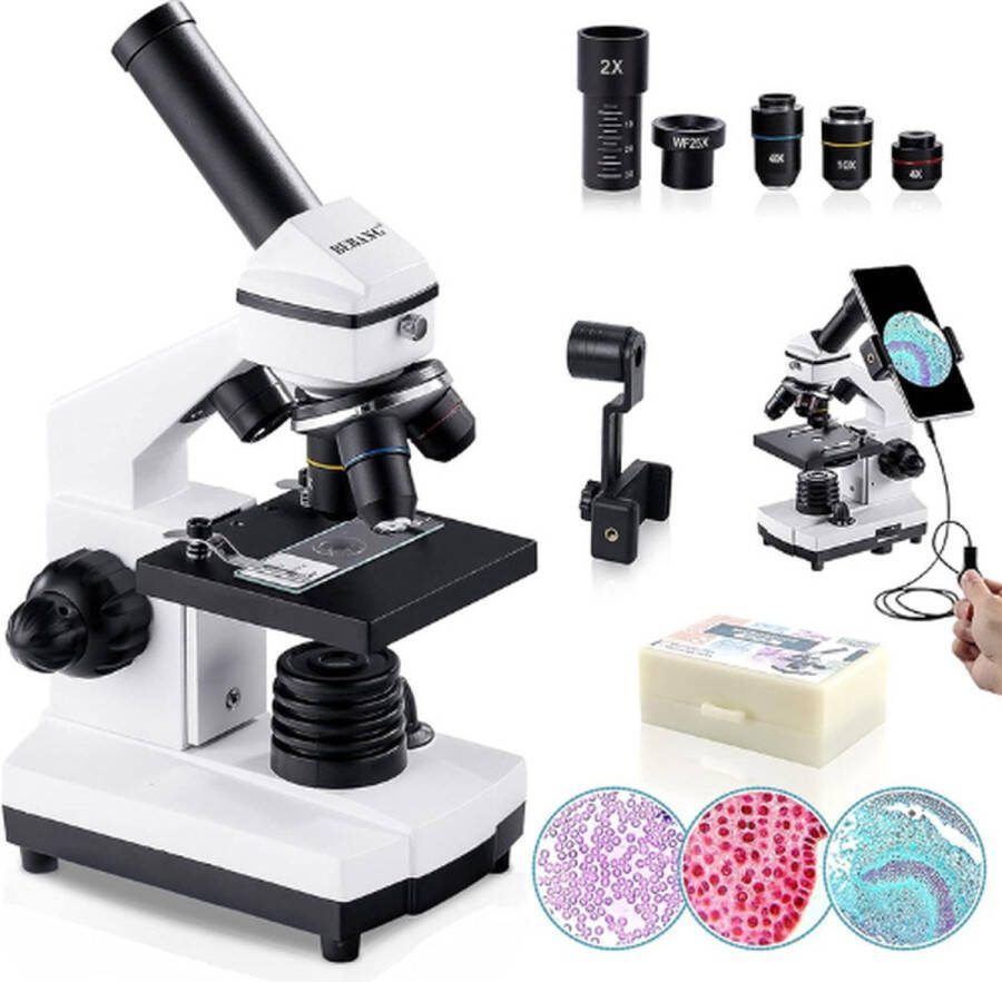 Microscoop Set 100x 2000x Microscoop voor Studenten School Laboratorium Wit