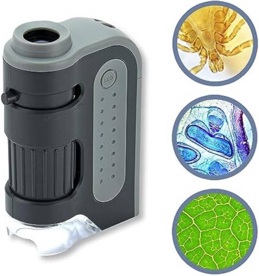 Microscoop Voor Kinderen Microscoop Junior Microsoop Digitaal