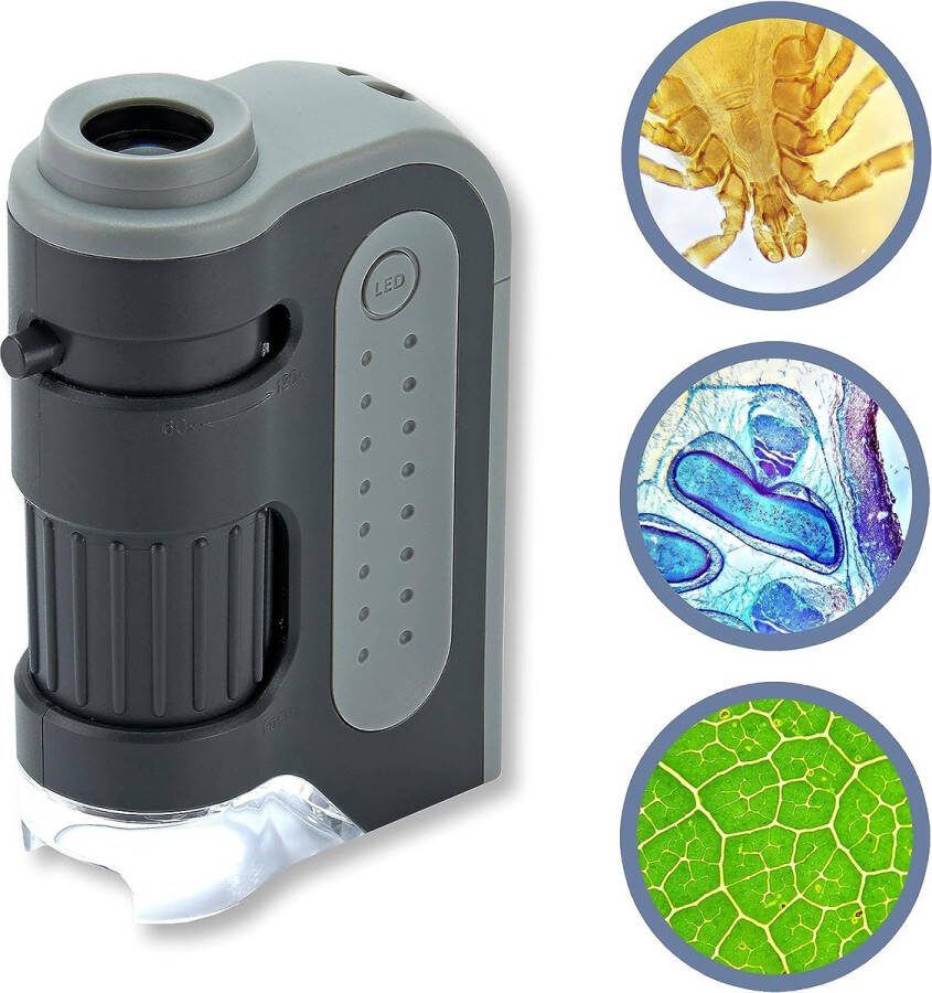 Microscoop Wetenschap Digitale Microscoop Incl. Camera Compatible met Smartphone Elektrisch