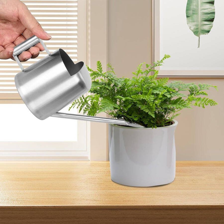 Mini-gieter 300 ml kleine gieter kamerplanten roestvrijstalen gieter lange uitloop watering gieter voor vetplanten bonsai potplanten hangplanten (zilver)