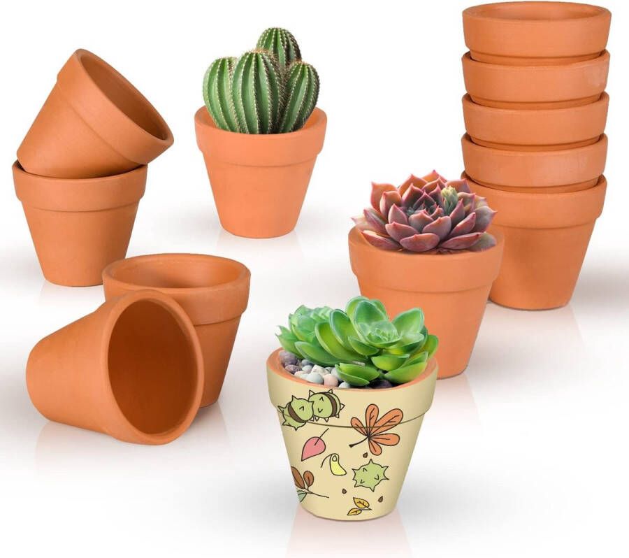 Mini-terracotta kleipotten met bodemgat 12 stuks terracotta vetplanten kleine terracotta potten terracotta vetplanten Nursery potten mini-bloempot voor binnen en buiten 5 cm