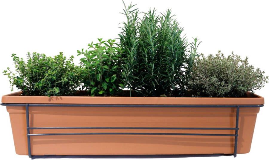Mix van kruiden in ELHO Green Basics balkonbak (Mild Terra) met metalen balkonrek Mini-Green Tuinplanten- Hoogte 30 cm