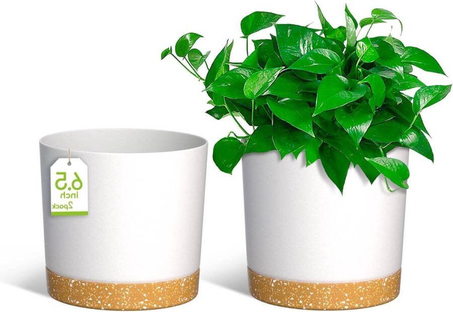 Moderne 165cm Plant Potten Met Afvoergaten Afneembare Schotel Plastic Bloempotten Huis Tuin Vensterbank Wit Set van 2