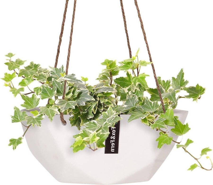Moderne geometrische hangende plantenpot voor binnen en buiten met kleine touw plantenhanger raam- en plafondbloemdecoratie