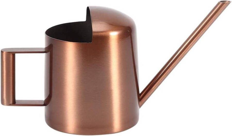 Moderne stijl 300 ml kleine roestvrijstalen bonsai-gieter met lange schenktuit voor binnen en buiten plantenbloem koperkleur Watering Can
