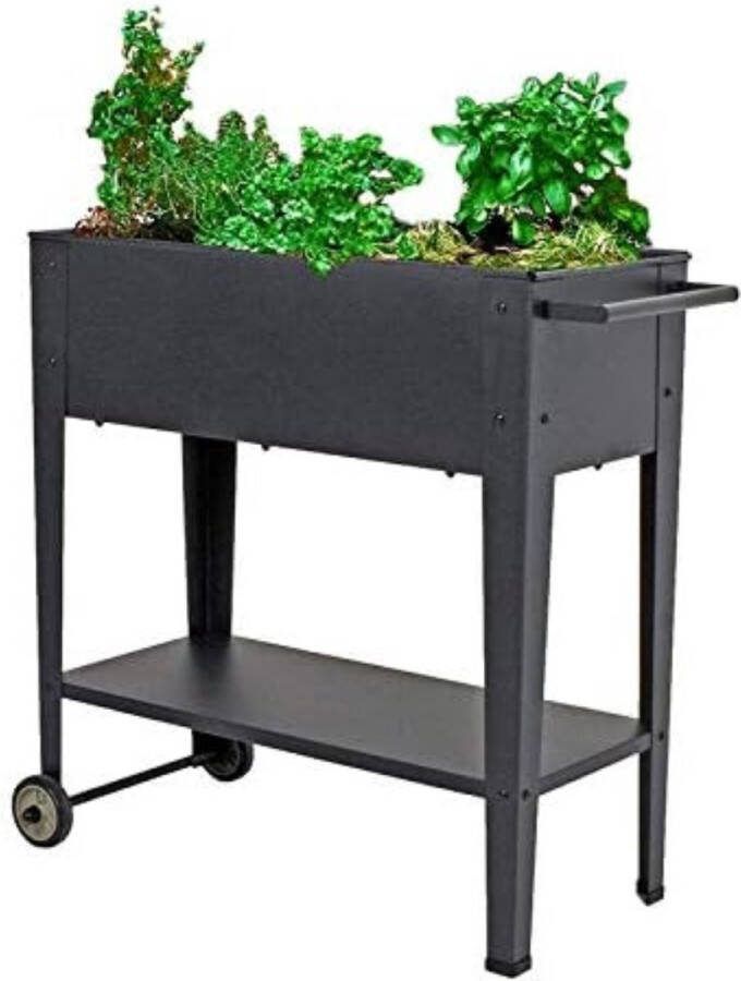 Moestuintafel Moestuinbak Op Poten Moestuintafel Op Poten Kruidenbak Op Poten