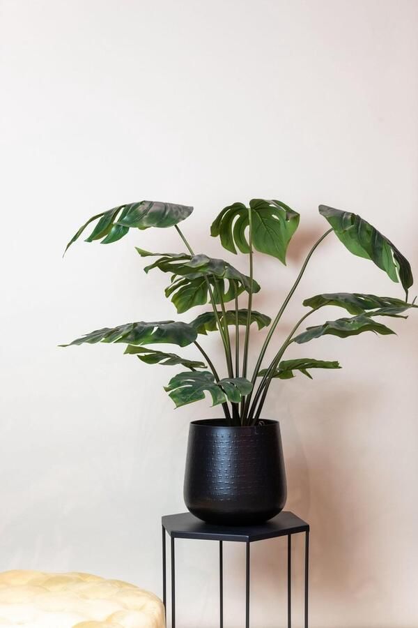 Monstera Deliciosa kunstplant 80 cm