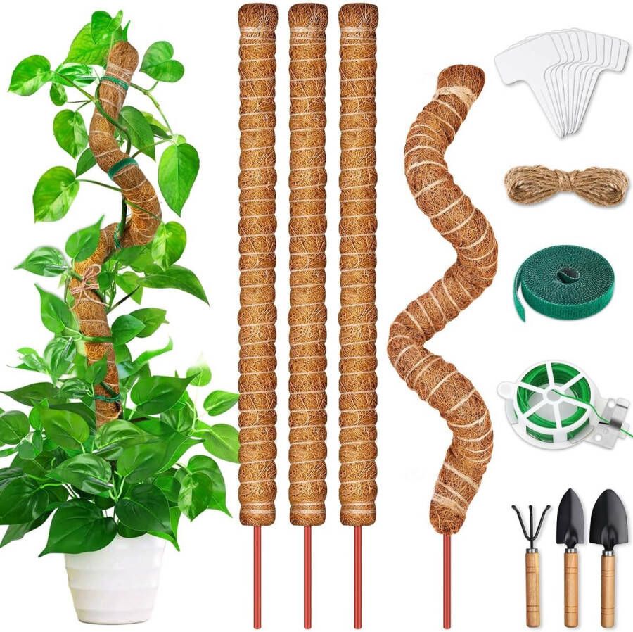 Monstera klimhulp 4 stuks 64 cm kokos-plantenstok flexibele mosstaaf voor Monstera met accessoires Monstera plantenstok voor klimplanten natuurlijke plantensteun