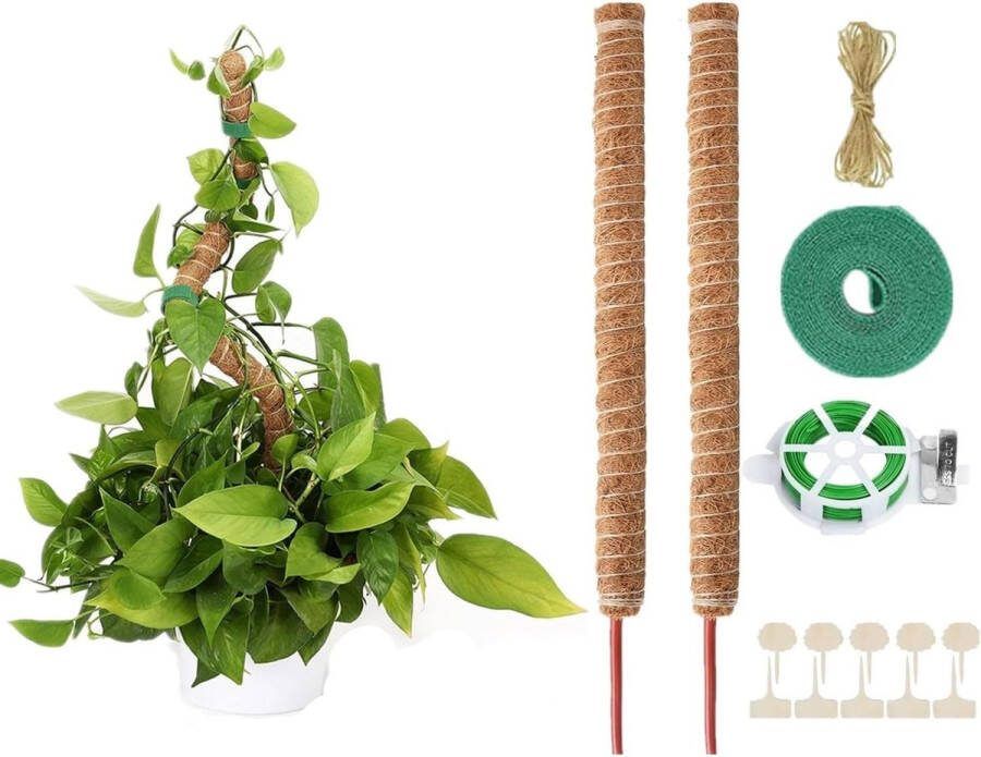 Monstera mosstaaf plantenstaaf 120 cm klimhulp flexibele mosstaaf Monstera voor klimplanten plantennaam plantentijd plantenondersteuning