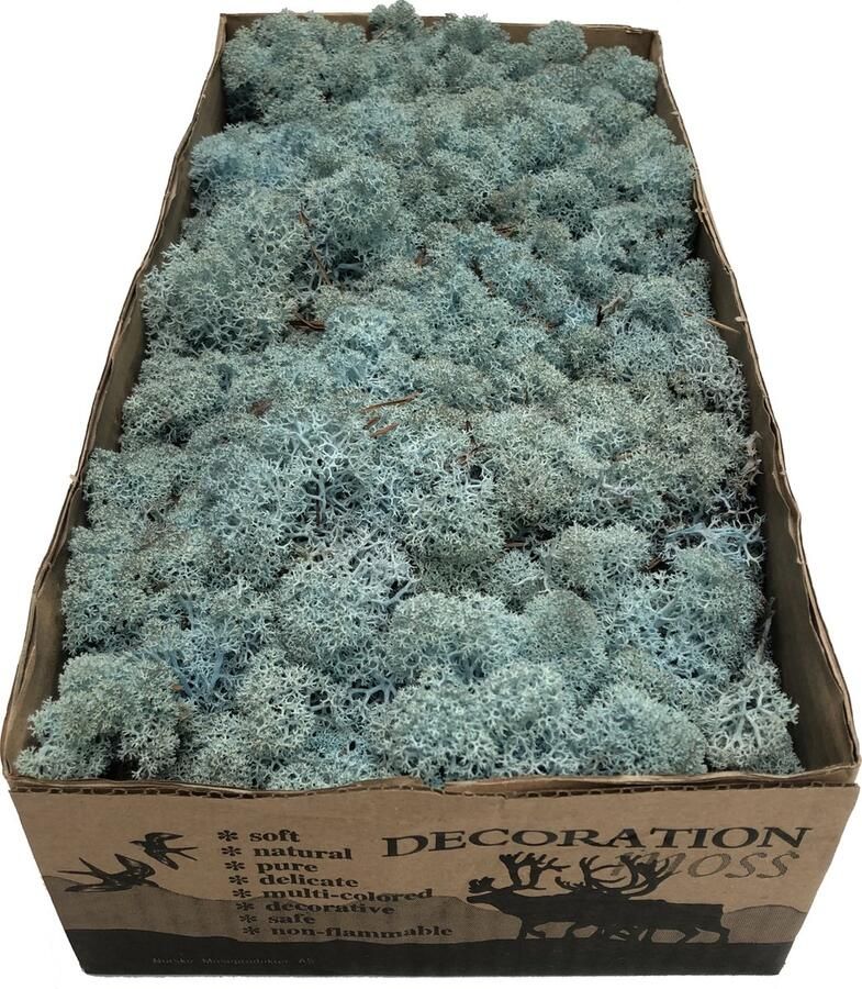 MosBiz Rendiermos Aquarium blue per 500 gram voor decoraties en mosschilderijen