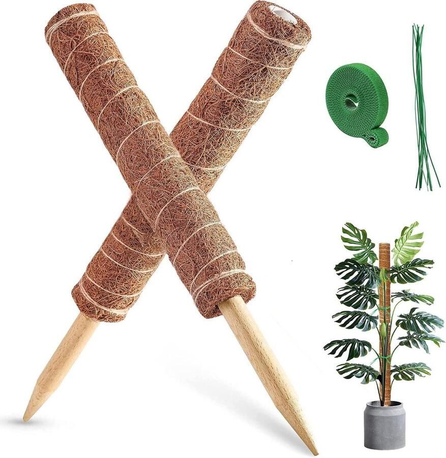 Mospaal 40 cm 16 inch voor monstera en kaasplant 2 stuks kokosmospaal binnen inclusief kabelbinders en tuinbanden
