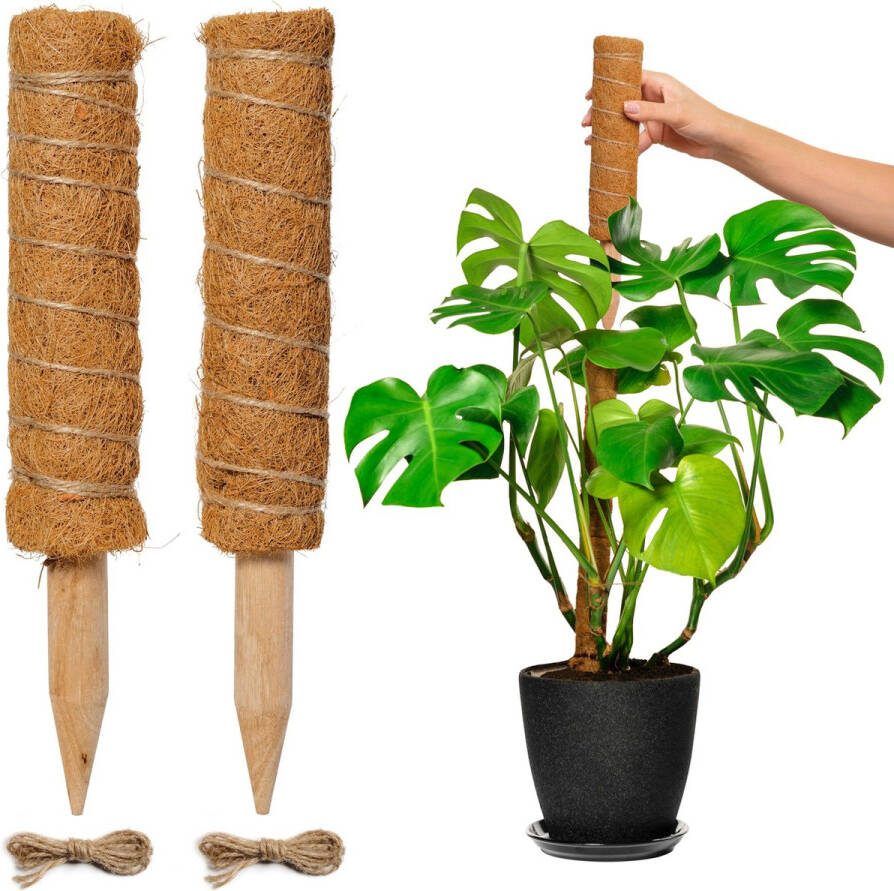 LeafImpact Mosstok voor Planten Verlengbaar tot 50cm Plantenstok Plantensteun Perfect voor Monstera Pothos en Meer 2x30 cm Inclusief Juten Touw