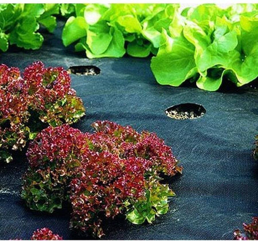 Mulchvlies onkruiddoek 5 x 1 5 m 50g m²