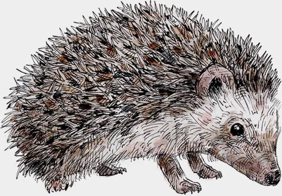 Muursticker egel dieren kinderkamer