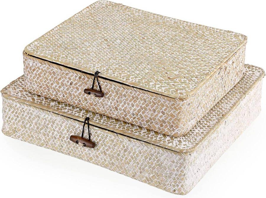 Natuurlijk zeegras rotanmand met deksel handgemaakte opbergkist voor keuken badkamer slaapkamer set van 2 groot + klein rechthoekig wit