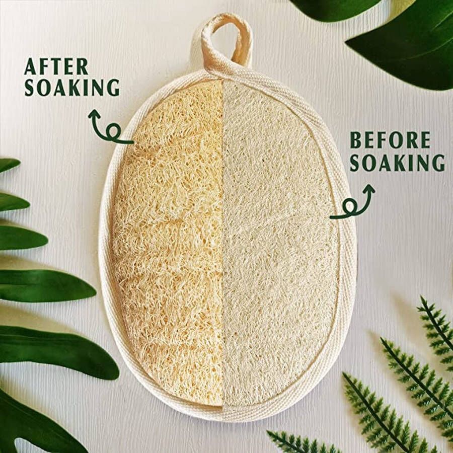 Natuurlijke exfoliërende Loofah-spons (4-packs) gemaakt met milieuvriendelijke en biologisch afbreekbare douchespons Loofah voor dames en heren bruin