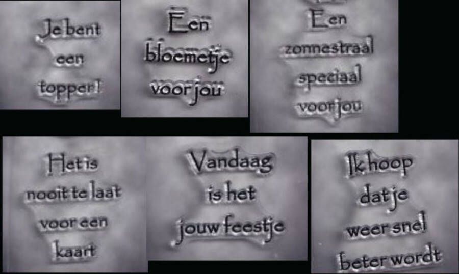 Nellie Snellen stempelen nederlands teksten super pakket 6 stempels clearstamps tekst