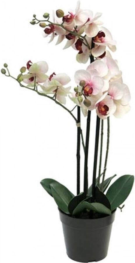 DIt & Dat &zo Phalaenopsis Bora | kunstplant | Kunstbloem | Orchidee | x3 | in pot B15xH60 cm | pink | Roze