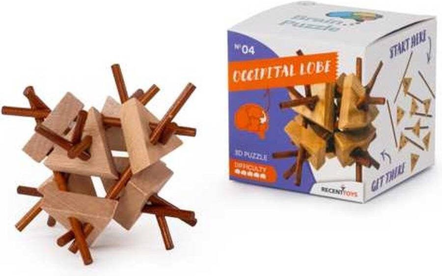 Occipital Lobe Breinbreker 4 Recent Toys