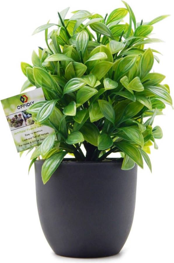 Ofdidix Mini plastic eucalyptus kunstplanten met vaas voor bureau huis en vriendencadeau nepplant met plastic potten voor huisdecoratie (lichtgroen)